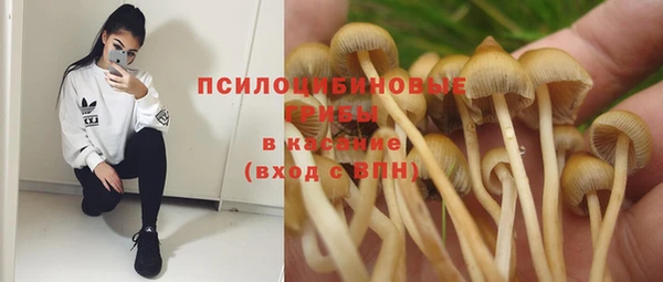 a pvp Туринск