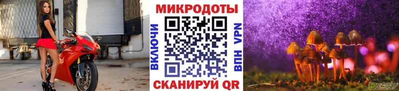 закладки  Нижневартовск  Псилоцибиновые грибы мицелий 